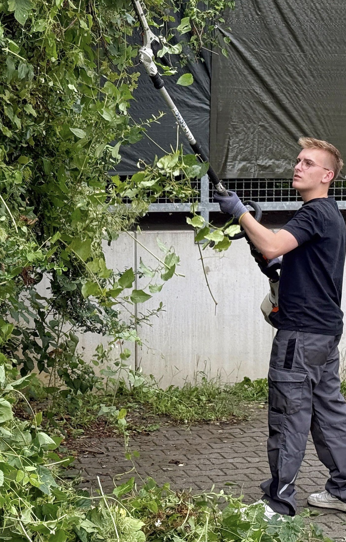Hausmeisterservice BAUHOF bei der Objektpflege